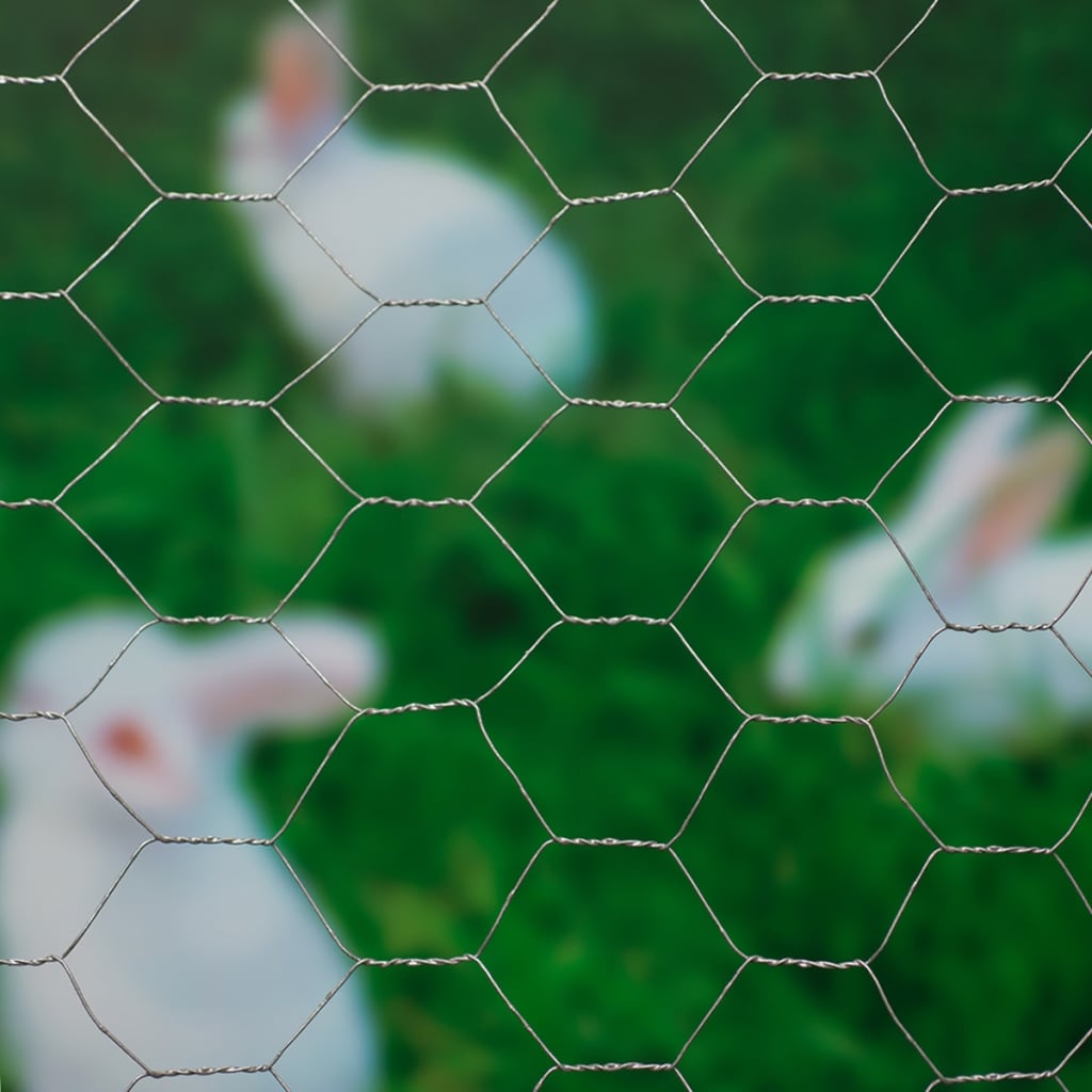 Nature Wire Mesh Hexagonal 0.5x5 m 25 mm Galvanised Steel