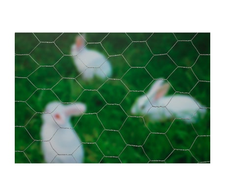 Nature Sechseckgeflecht 1x10 m 25 mm Verzinkter Stahl