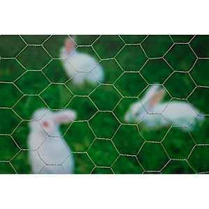 Nature Metalliverkko kuusikulmainen 1x5 m 40 mm galvanoitu ter&auml;s