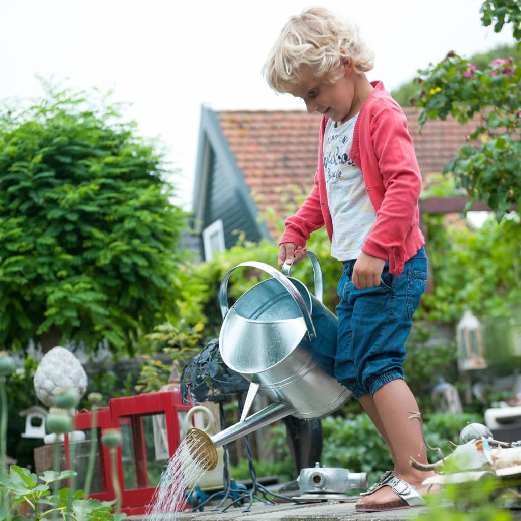 Gieter verzinkt 9 liter met sproeikop