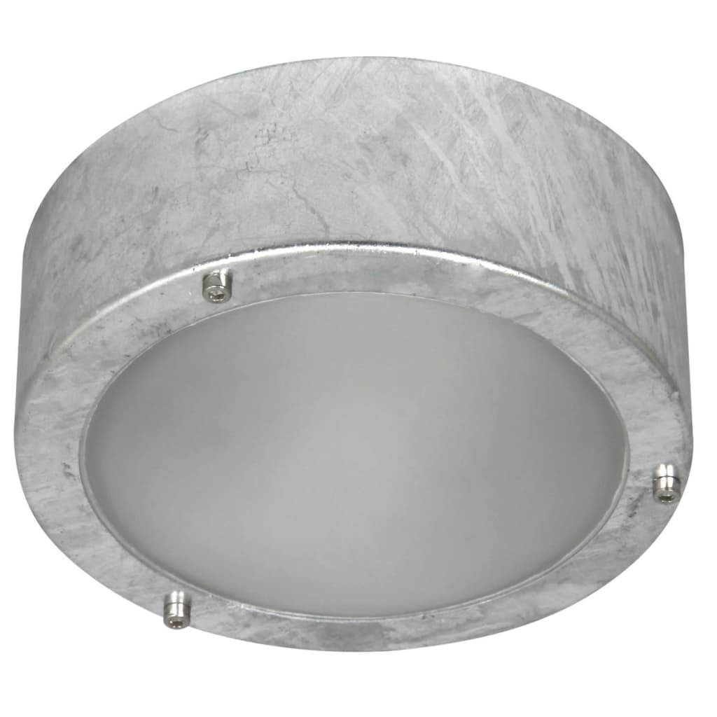 VidaXL - Ranex Plafond/wandlamp 60 W zilver 5000.314