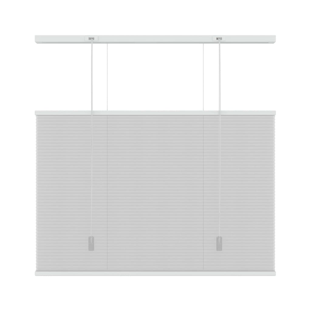 

Decosol Plisségordijn honingraat lichtdoorlatend 60x180 cm wit