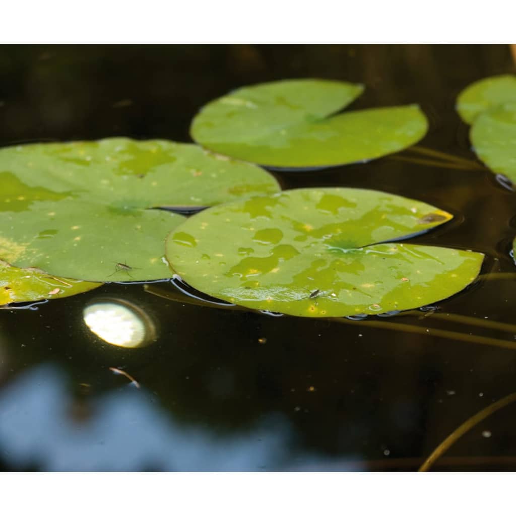 Faretti Per Laghetto MultiBright 20 LED 1354037 Ubbink 15 width=274