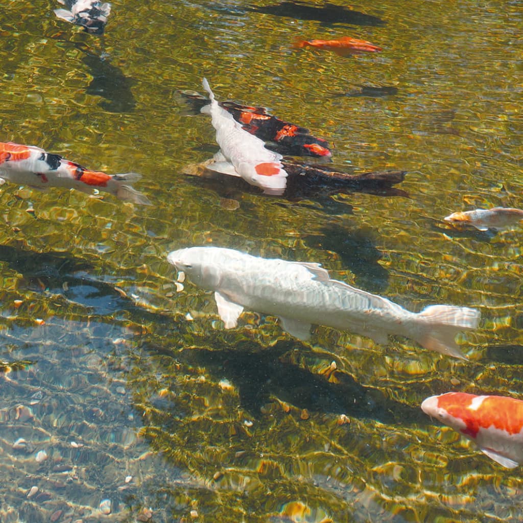 Alternativ bild 1 för Ubbink Ubbink UV-C dammlampa AlgClear 55000, 55 W, 1355142