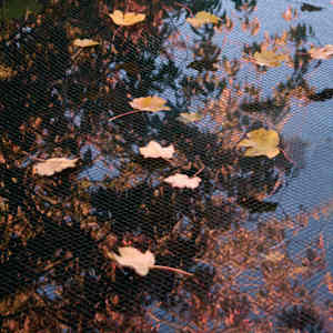 Ubbink Damnett PE 5x6 m 1064345