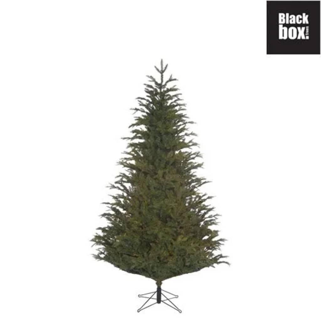 Black Box Trees - Frasier kerstboom groen - h185xd124cm
