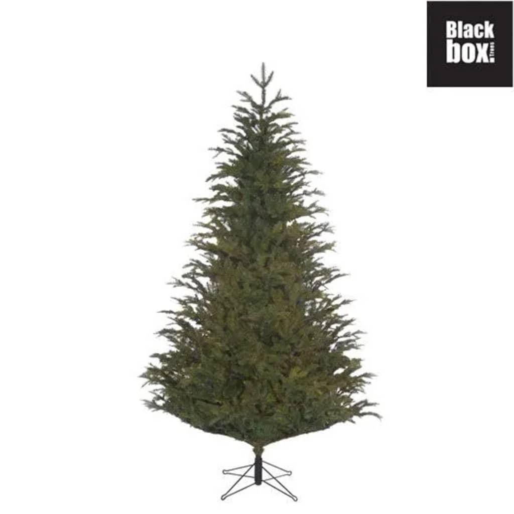 Black Box Trees - Frasier kerstboom groen - h215xd145cm