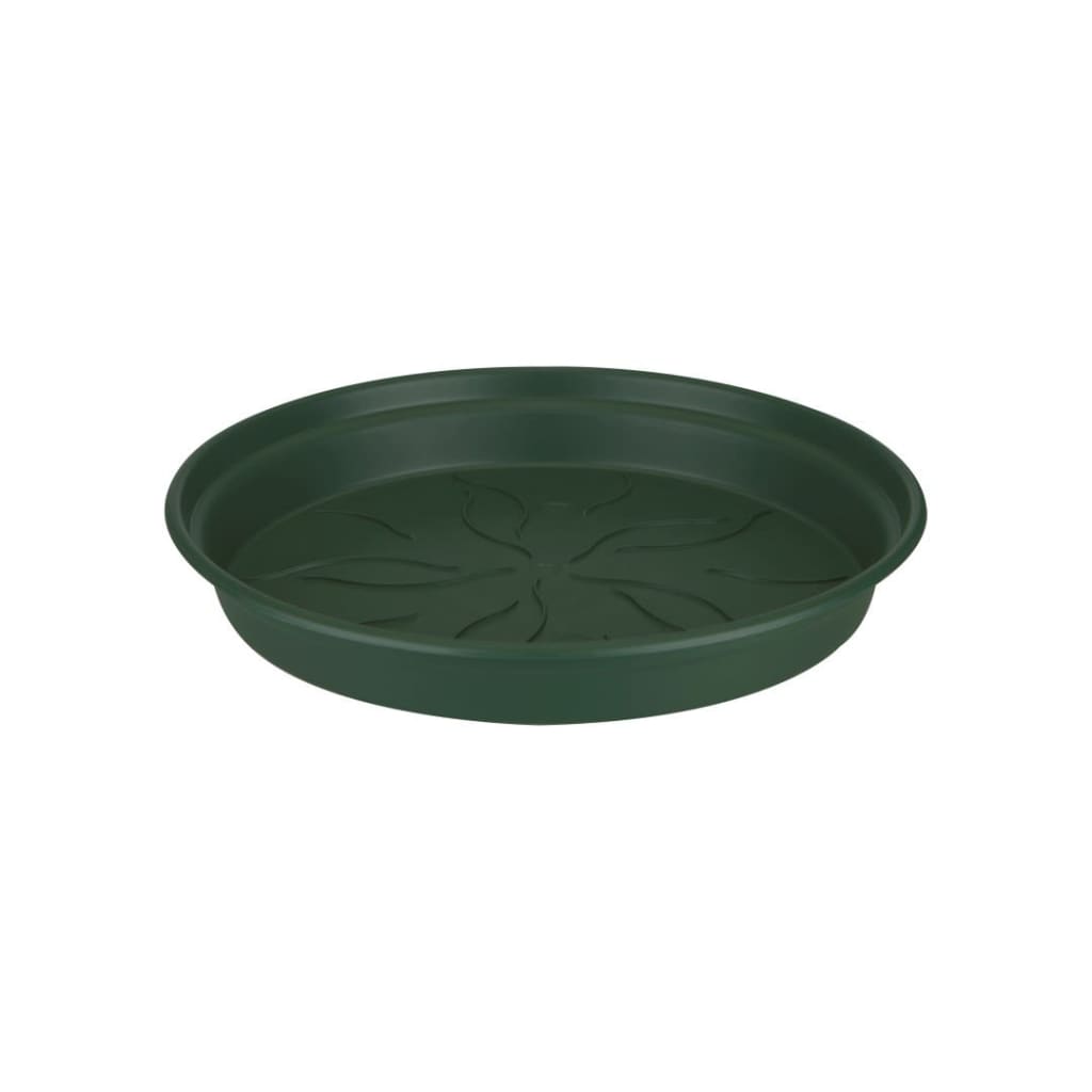 Green basics schotel 65cm blad groen