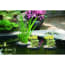 Velda Floating Plant Island 35 Cm New velda kopen in de aanbieding