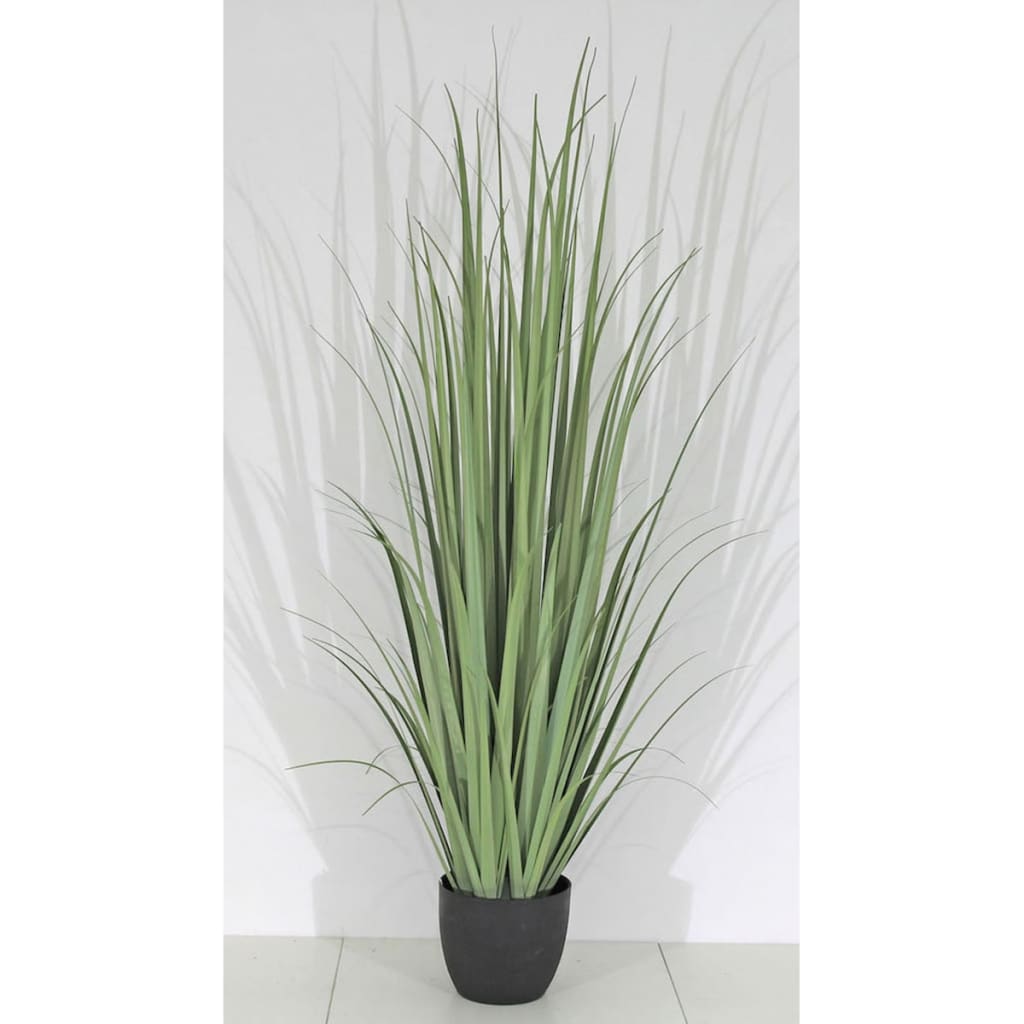 

Velda Kunstgras Gladiolus maat M 850999