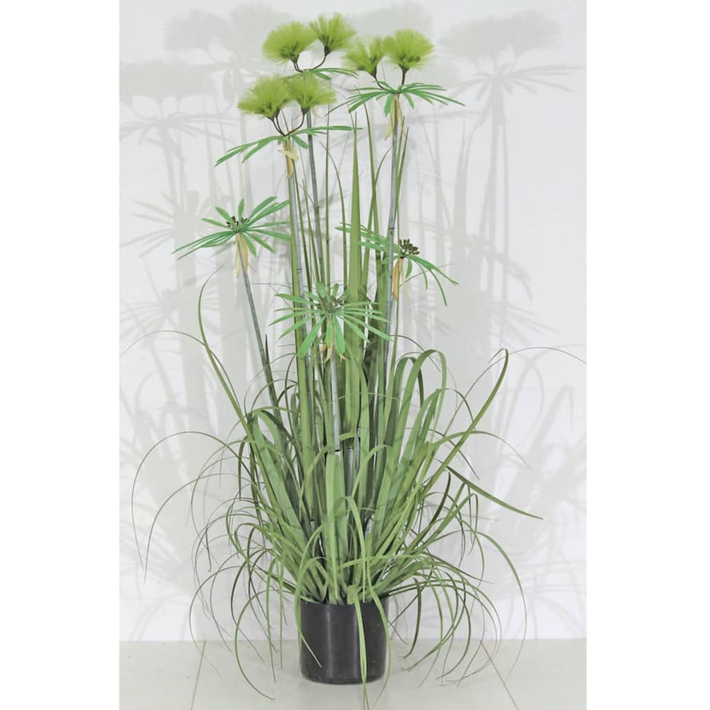 

Velda Kunst pluimgras maat M 851004