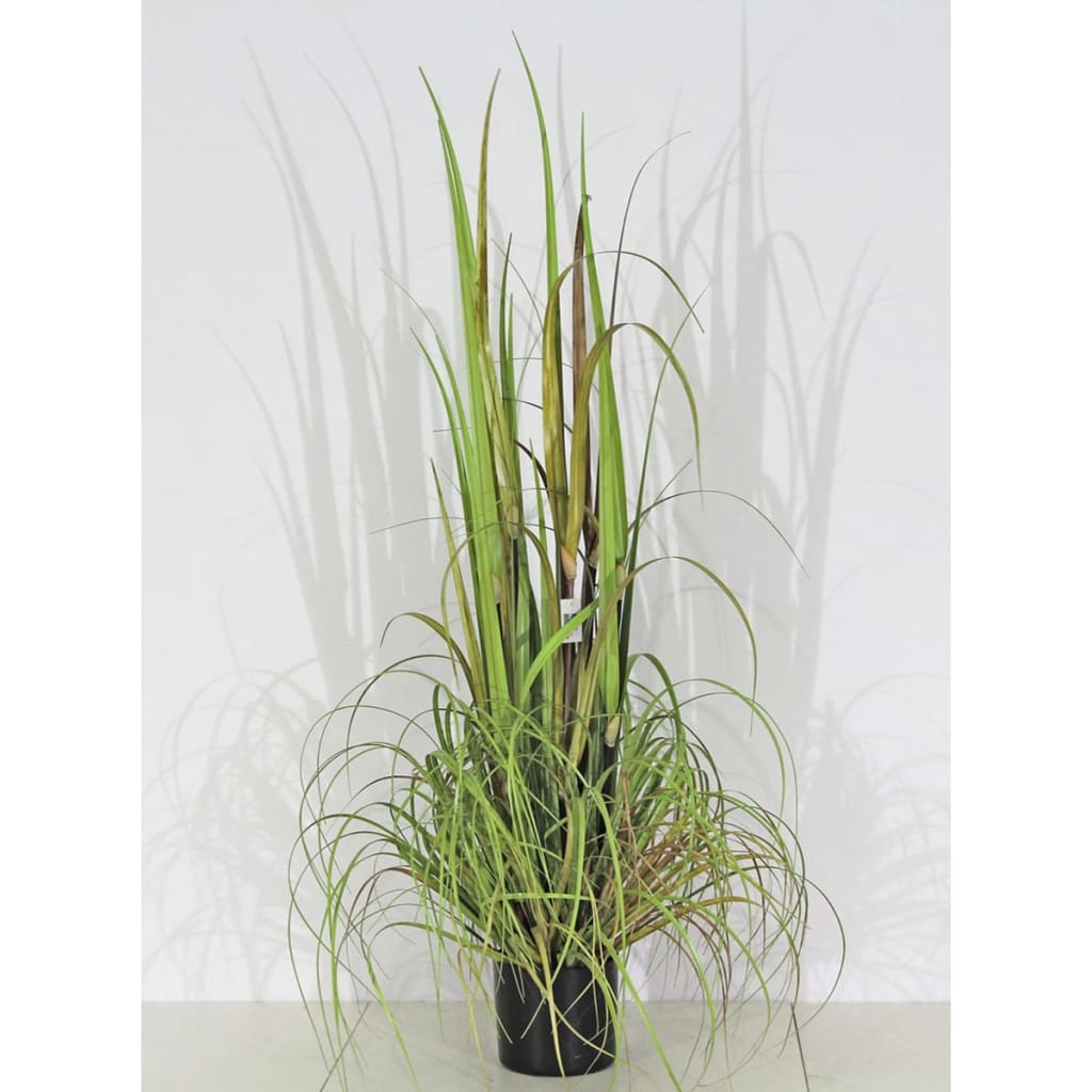 

Velda Decoratief kunstgras maat S kunststof 851009