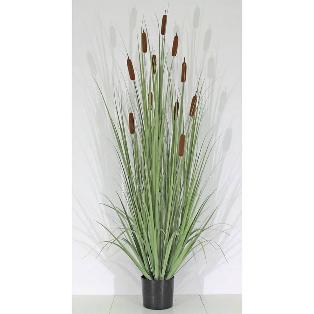 

Velda Kunstgras Cattail maat L 851011