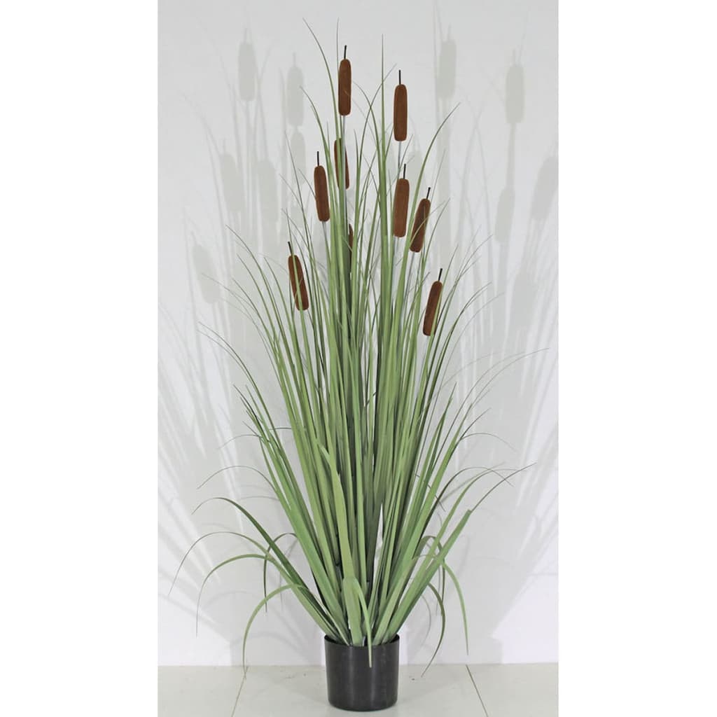 

Velda Kunstgras Cattail maat M 851012