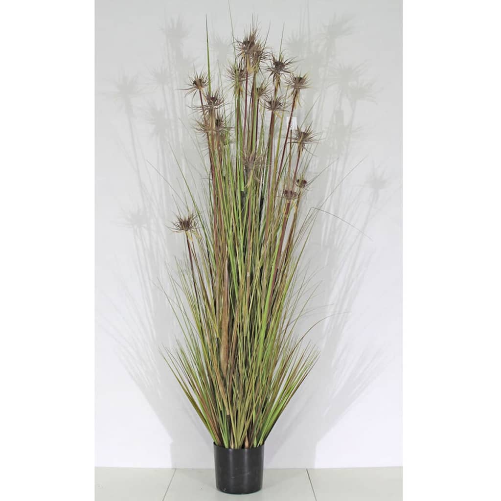 

Velda Kunstgras Sunny maat XXL 851015