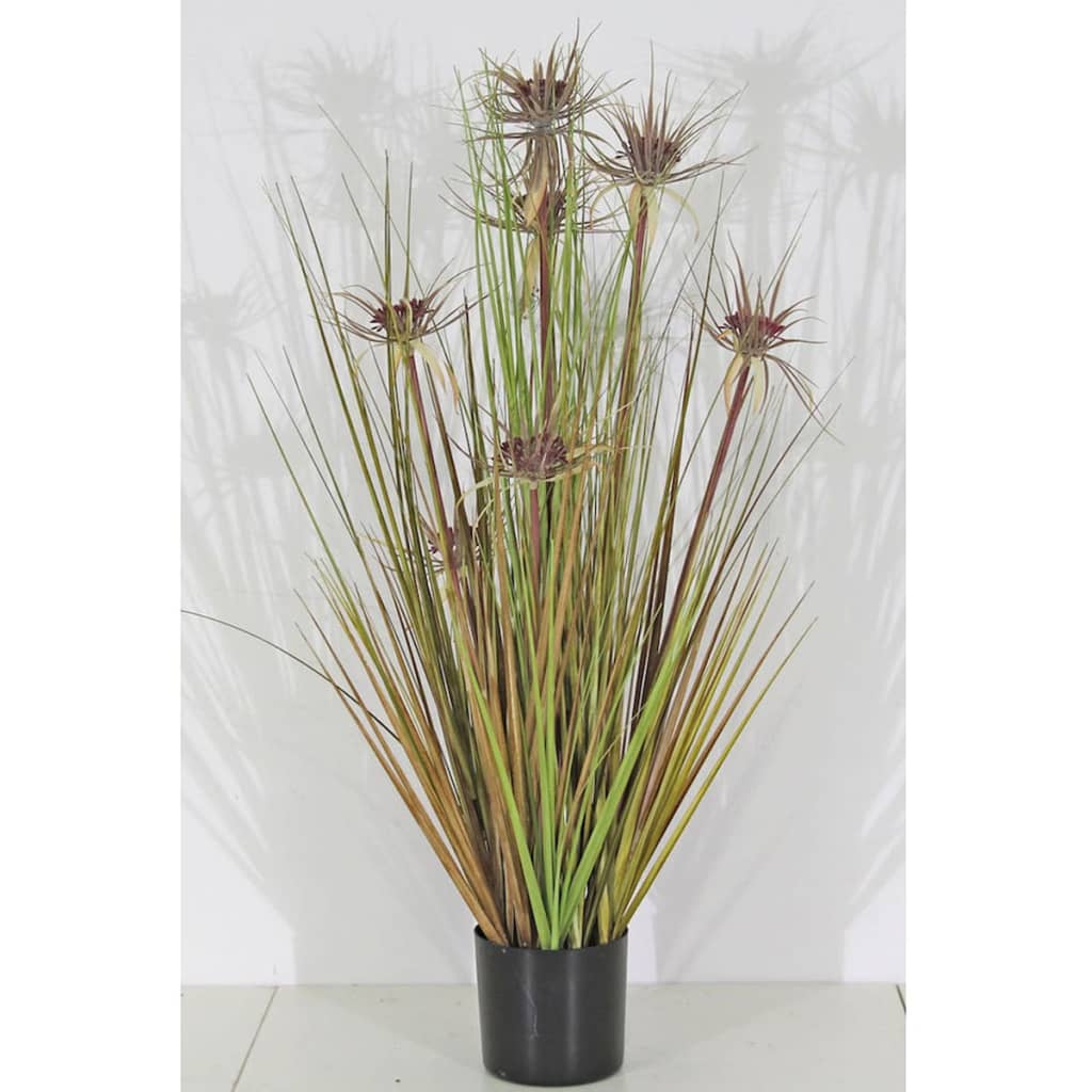 

Velda Kunstgras Sunny maat M 851018