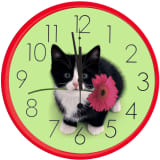 Studio Pets Wandklok kat 25 cm