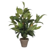Hosta Verde Pvc Con Manceta Gris