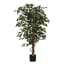 Mica Decorations Ficus Groen In Plastic Pot Maat In Cm 150 X 85 mica decorations kopen in de aanbieding