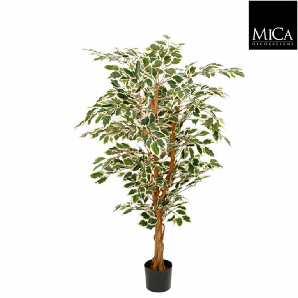 Ficus Hawaii h150 d75 cm groen bont in plastic pot Mica Decorations Edelman - E-Retail