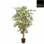 Mica Decorations Ficus Hawaii Maat In Cm 150 X 75 Groen Bont mica decorations kopen in de aanbieding
