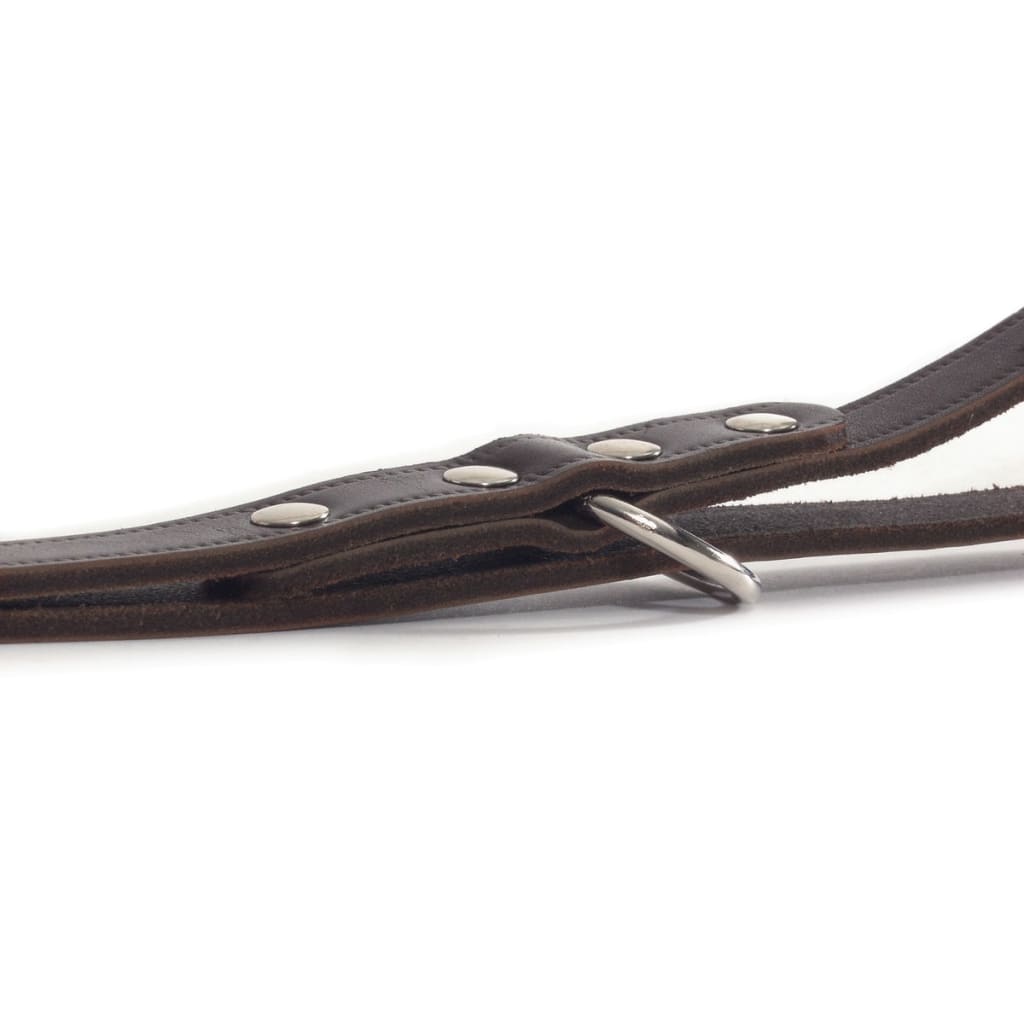 Lesă de antrenament, maro, 200x1,2 cm, piele, 736401