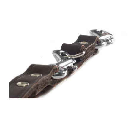 Beeztees Training Leash Leather Brown 200x1.2 cm 736401