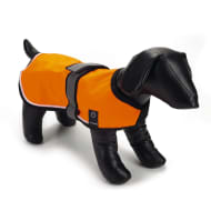 Beeztees Honden veiligheidsjas met LED