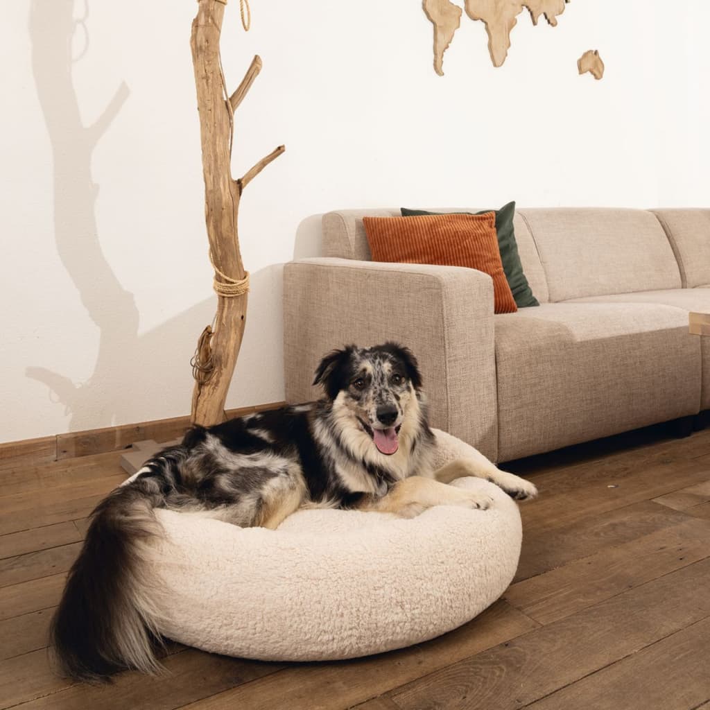 Beeztees Lit pour chien Mousse à mémoire de forme Jaxx 60x25 cm Beige