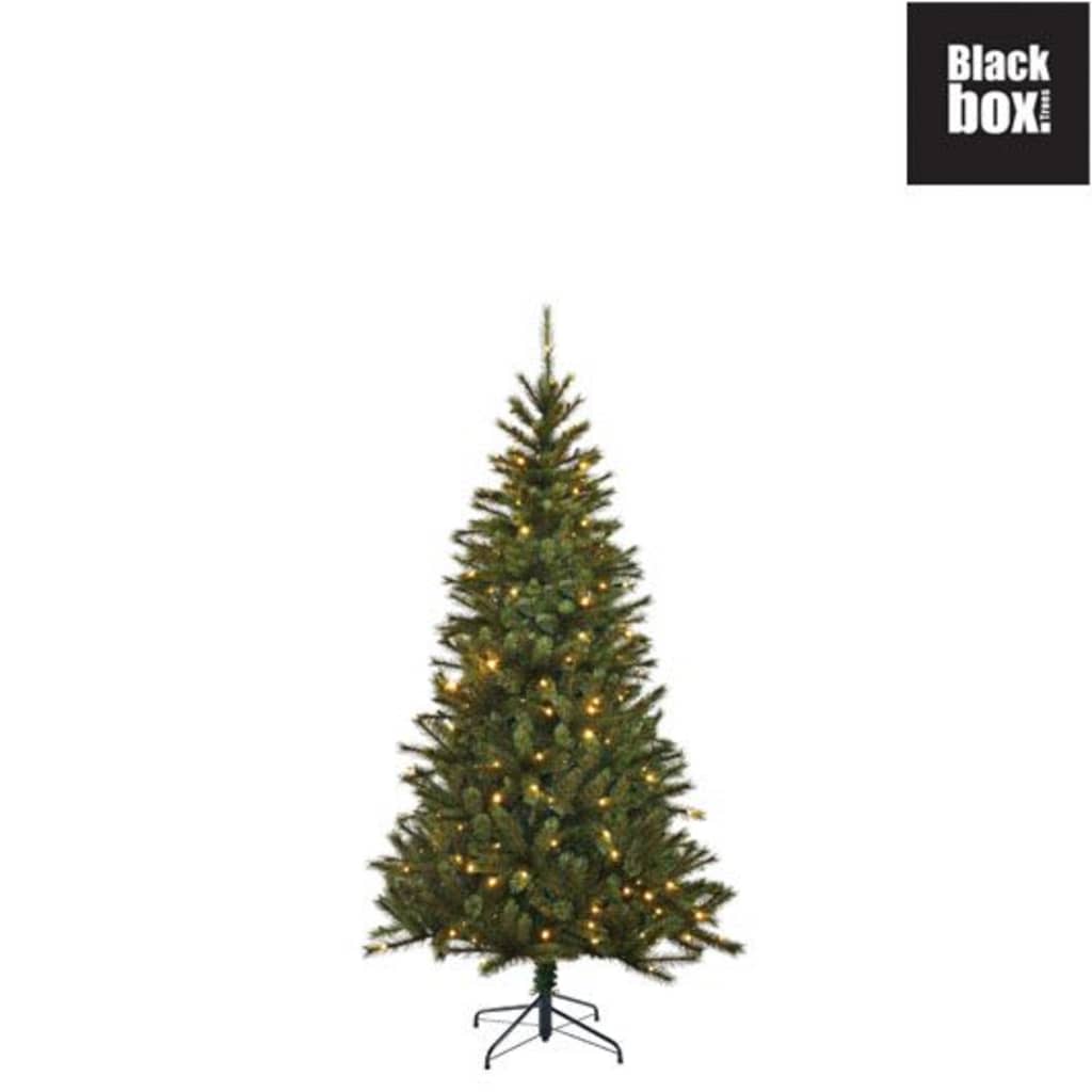 Black Box Kunstkerstboom Groen Led Kingston D86 H155 Cm black box kopen in de aanbieding Black Box Kunstkerstboom Groen Led Kingston D86 H155 Cm black box kopen in de aanbieding