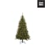 Kunstkerstboom Groen Led Kingston D86 H155 Cm Black Box black box kopen in de aanbieding Kunstkerstboom Groen Led Kingston D86 H155 Cm Black Box black box kopen in de aanbieding