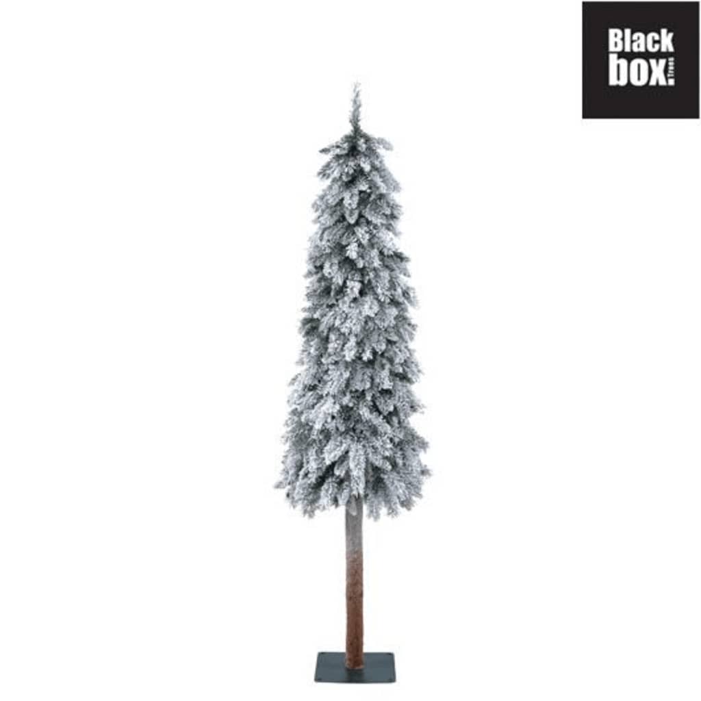 Afbeelding Black Box Trees - Windsor kerstboom groen - h215xd74cm door Vidaxl.nl