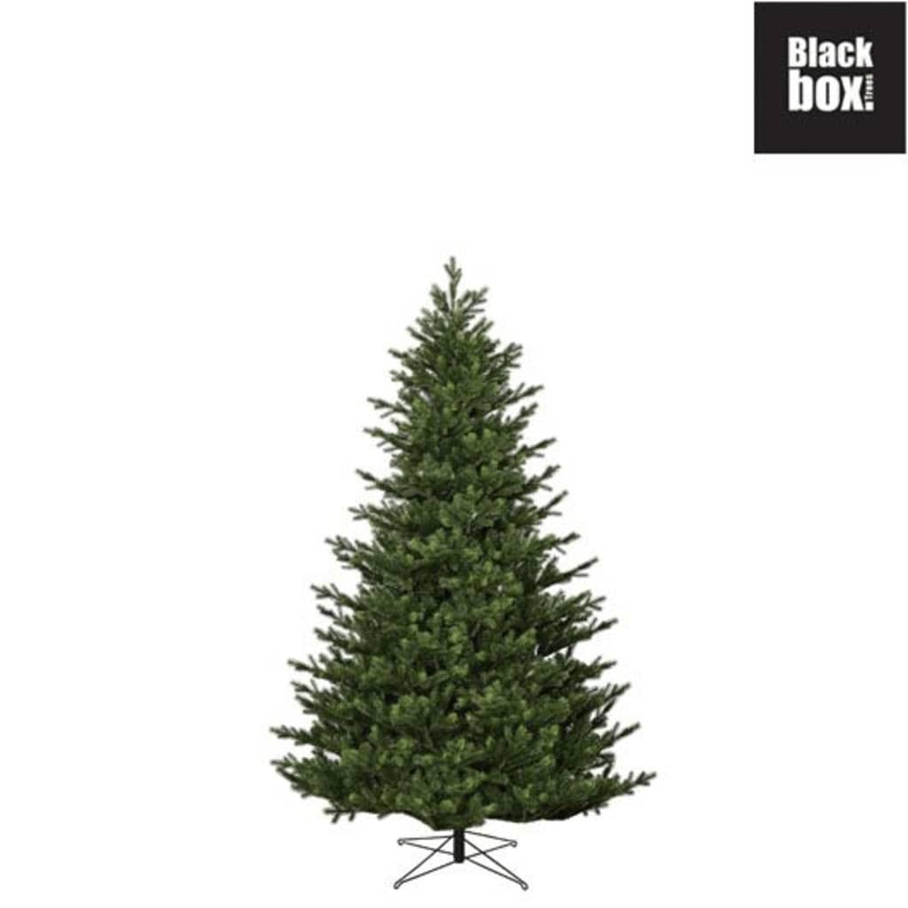 Black Box Trees - Dunville kerstboom groen - h155xd109cm