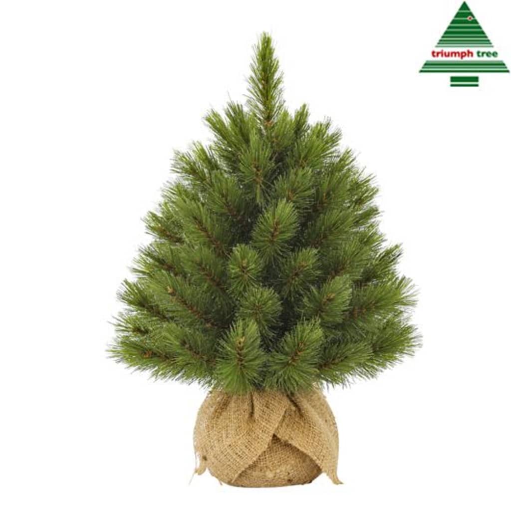 Triumph Tree - Forest frosted pine kerstboom m-burlap groen - 45 cm