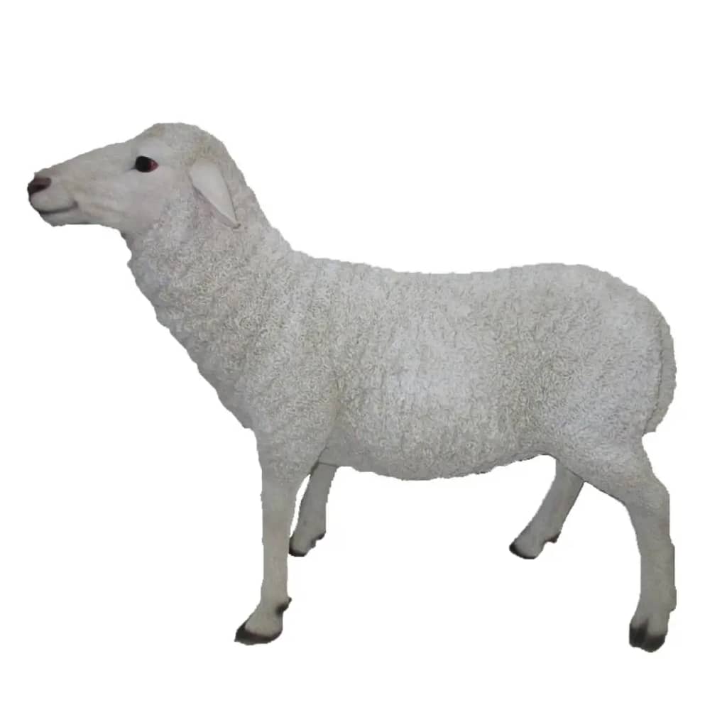 Schaap h66x78x27 cm