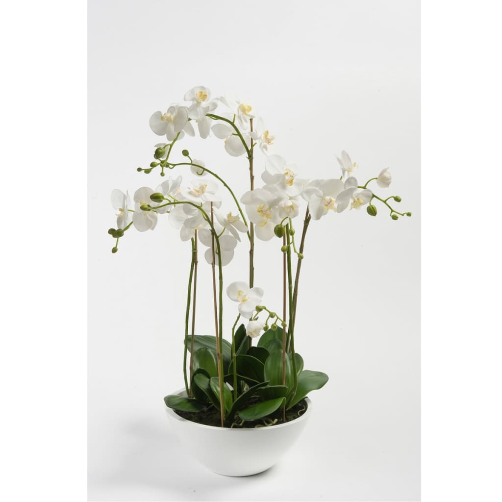 

Emerald Kunstplant orchidee wit 80 cm 20.335C