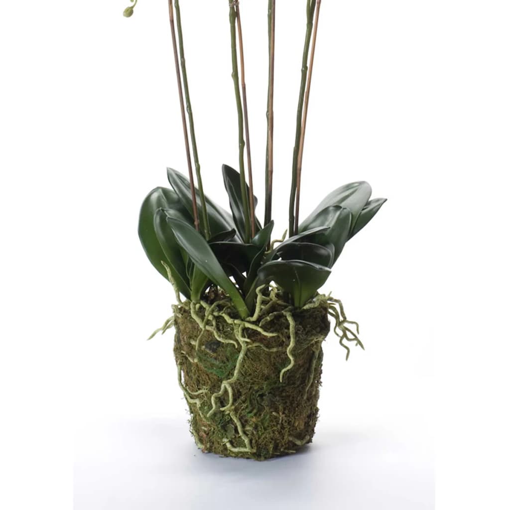 Thumbnail - Emerald Kunstpflanze Phalaenopsis mit Moos Weiß 90 cm 20.355