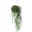 Emerald Senecio Hangplant Kunst D10Cm emerald kopen in de aanbieding