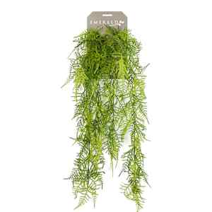 Emerald Umelá rastlina Asparagus Plumosus 80 cm