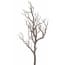 Emerald Kunst Decoratie Tak Natural 90Cm emerald kopen in de aanbieding Emerald Kunst Decoratie Tak Natural 90Cm emerald kopen in de aanbieding