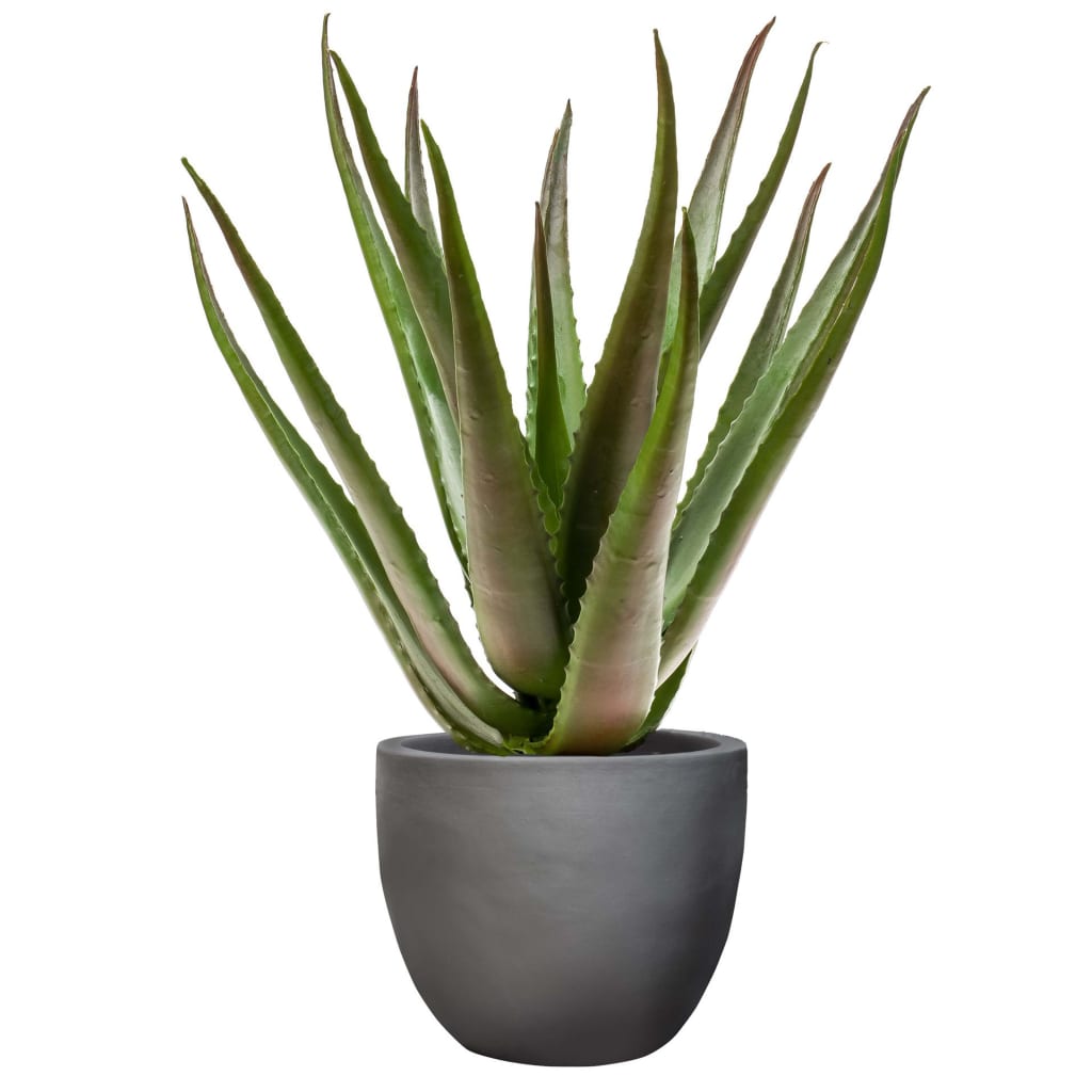 Kunstplant Aloe vera M