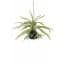 Emerald Kunst Varen Hangplant D30Cm emerald kopen in de aanbieding