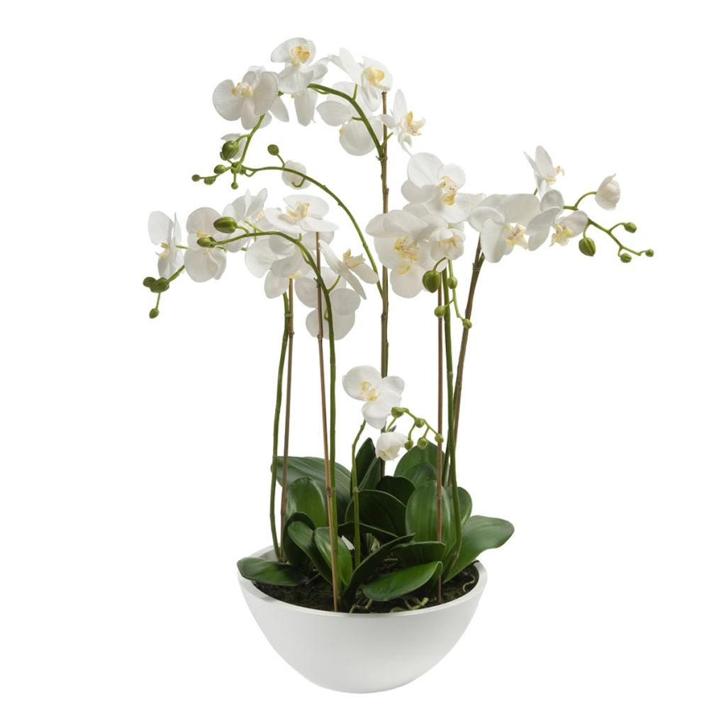 Emerald Kunstplant orchidee wit 80 cm 20.335C