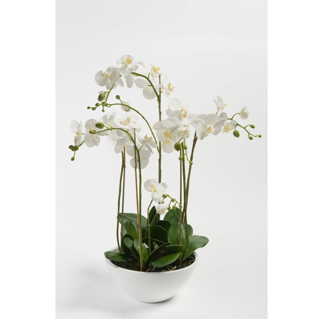 Emerald Kunstplant orchidee wit 80 cm 20.335C