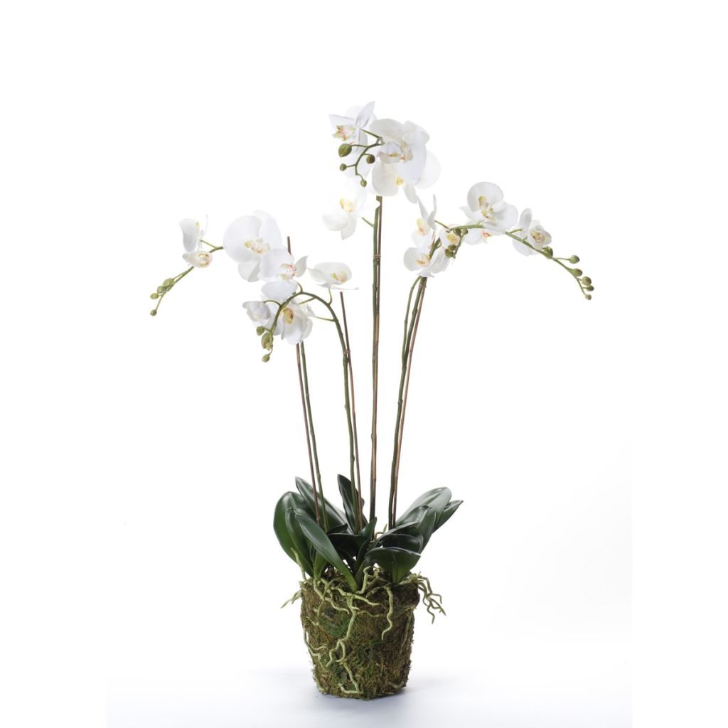 Afbeelding Emerald Kunstplant orchidee met mos wit 90 cm 20.355 door Vidaxl.nl