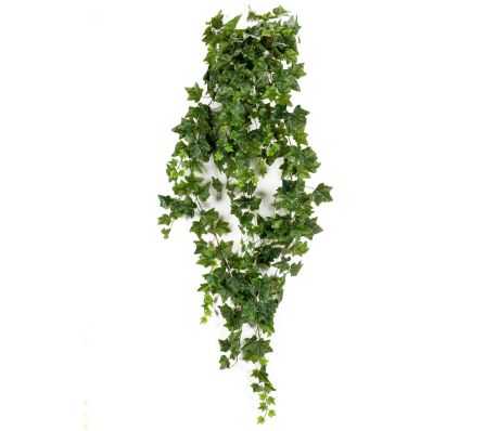 Du är väldigt snäll och läger photo 4