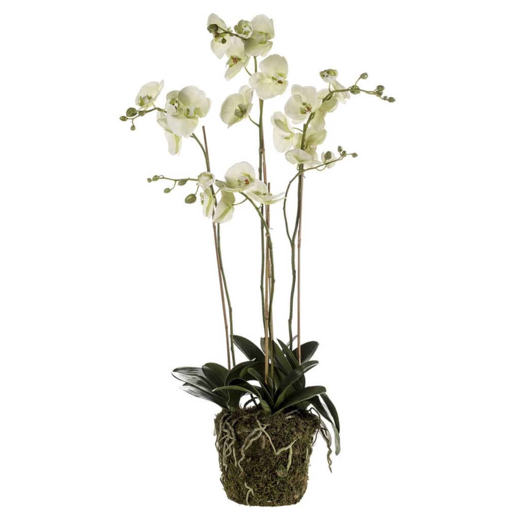 Emerald Kunstplant orchidee met mos lichtgroen 419148