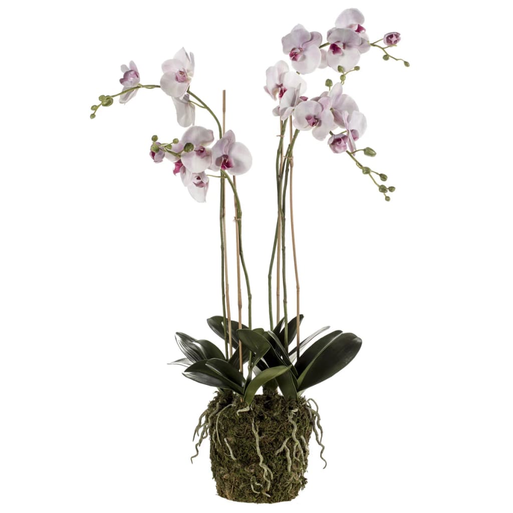 Emerald Kunstplant orchidee met mos lichtroze 419149