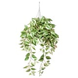 Emerald Kunstpflanze Dreimasterblume Hängend 70 cm 420846