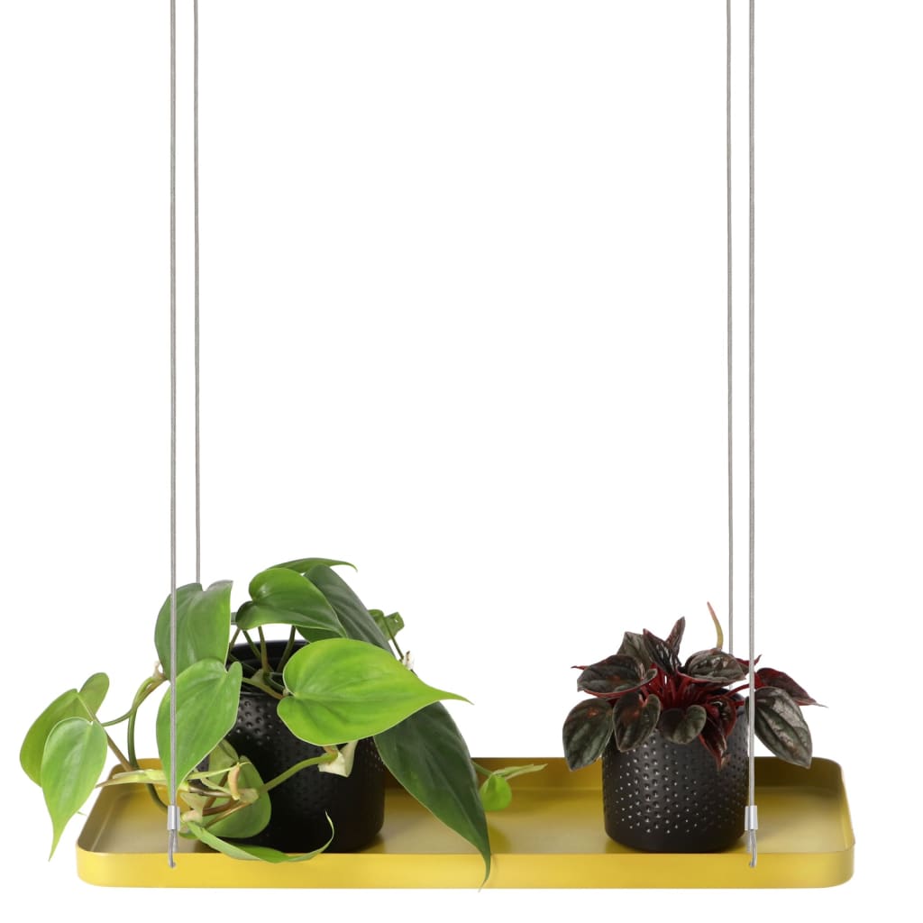 Esschert Design Bandeja colgante para plantas rectangular dorada S